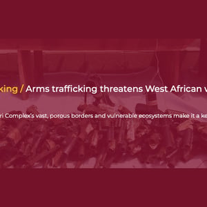 Featured Pic - Arms trafficking threatens West African wildlife sanctuary